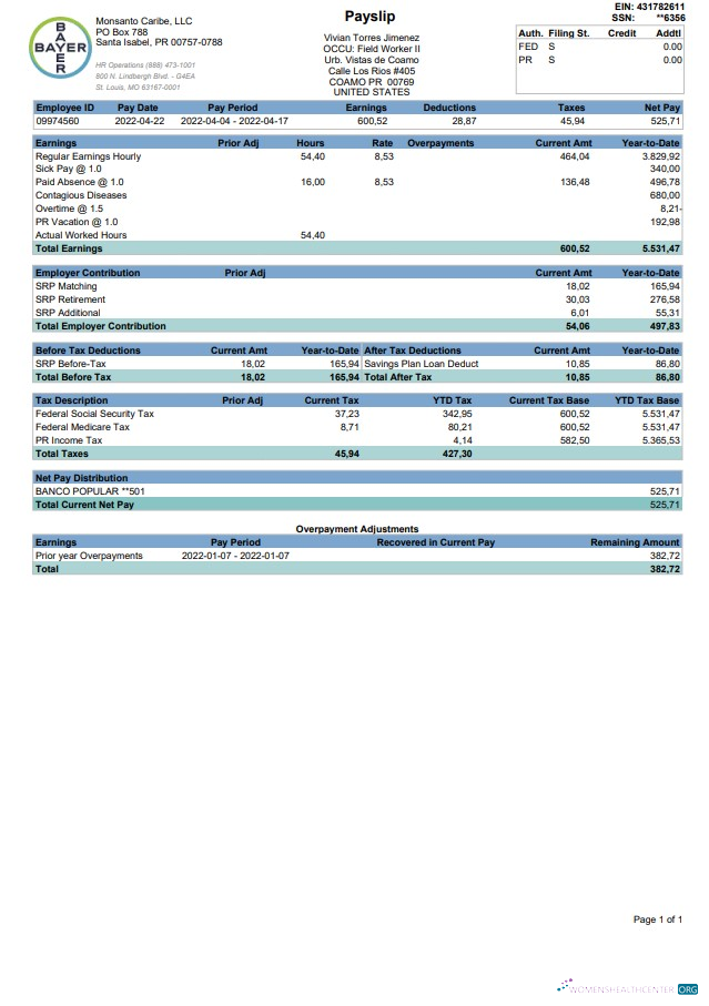 Download BAYER Paystub 2022 Photoshop template